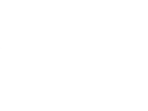 7 Management